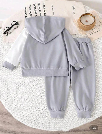 Grey Liner Printed Kids Winter Suit (Each)