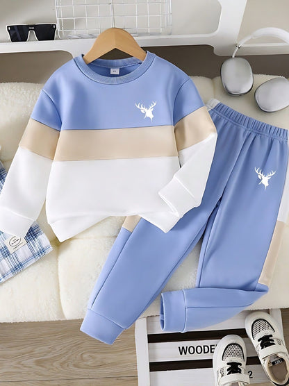 Sky Blue Panel Printed Kids Winter Suit (Each)